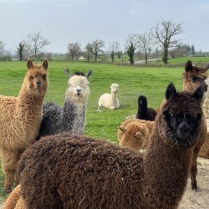Journée Épicurienne à la Ferme - 20/06